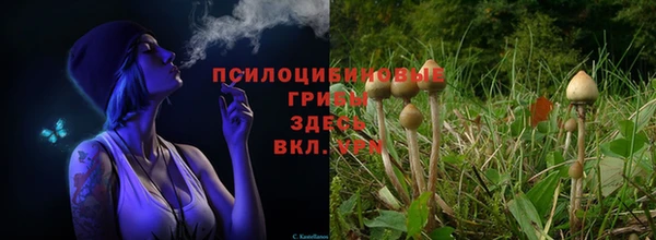 марки nbome Балахна